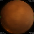1584903542.jpg