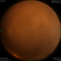 1584903722.jpg