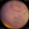 1584918519.jpg