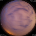 1584918700.jpg