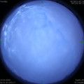 1584920485.jpg
