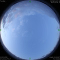 1584923022.jpg