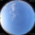 1584925753.jpg