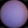 1584970175.jpg