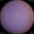 1584970295.jpg