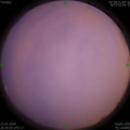 1584970475.jpg