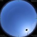 1585038517.jpg