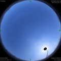 1585039298.jpg