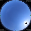 1585042779.jpg