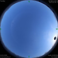 1585047416.jpg