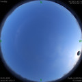1585047806.jpg