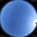 1585048587.jpg