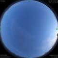 1585049742.jpg