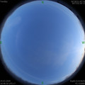 1585050508.jpg