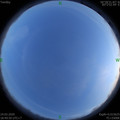 1585050568.jpg