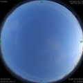 1585050628.jpg