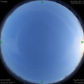 1585050988.jpg
