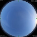 1585051108.jpg