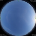 1585051468.jpg