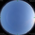 1585052384.jpg