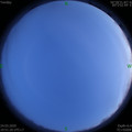 1585054260.jpg