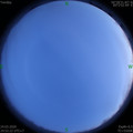 1585054320.jpg