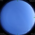 1585054755.jpg