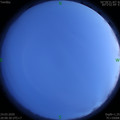 1585054815.jpg