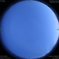 1585054875.jpg