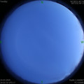 1585054935.jpg