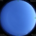 1585055175.jpg