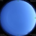 1585055310.jpg