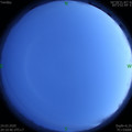 1585055430.jpg