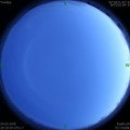 1585055925.jpg