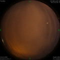 1585080042.jpg