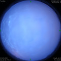 1585092528.jpg