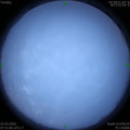 1585096250.jpg