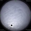 1585113824.jpg