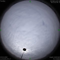 1585114964.jpg