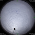 1585115174.jpg