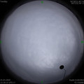 1585125544.jpg