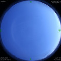1585142502.jpg