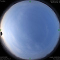 1585186009.jpg
