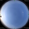 1585186384.jpg