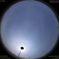 1585200250.jpg