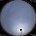 1585206824.jpg