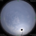 1585207575.jpg