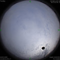 1585211431.jpg