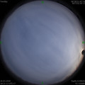 1585221651.jpg