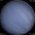 1585224052.jpg